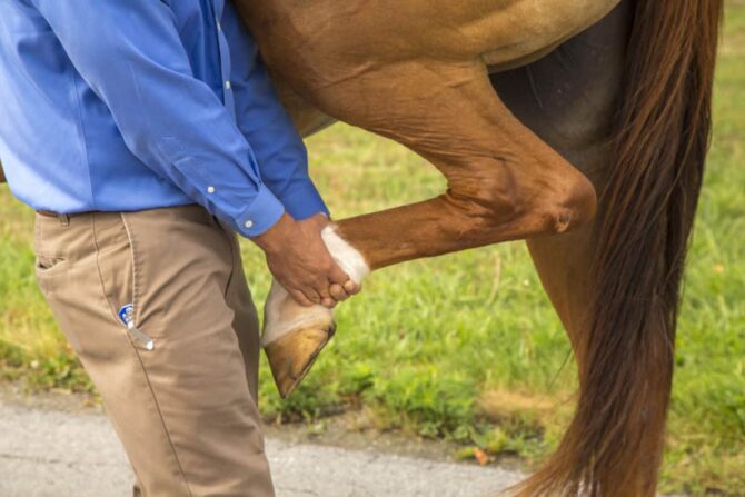 early stage arthritis