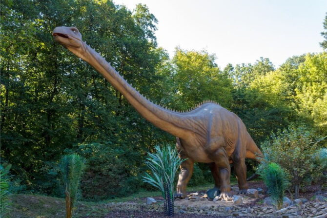 Brachiosaurus Althitorax (Brachiosaurus Althitorax)