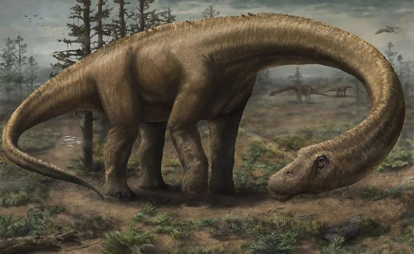 Dreadnoughtus Schrani (Dreadnoughtus schrani)