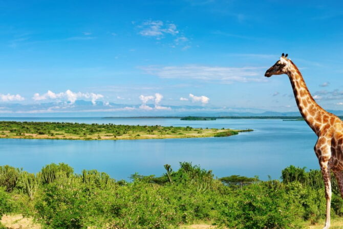 Nile River in Uganda