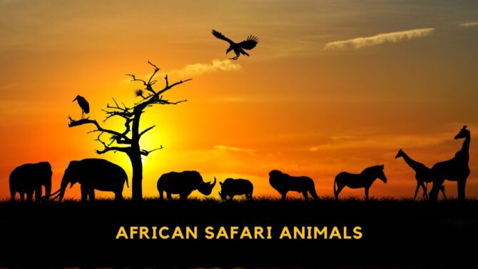 Amazing African Safari Animals You Need To See (With Pictures)