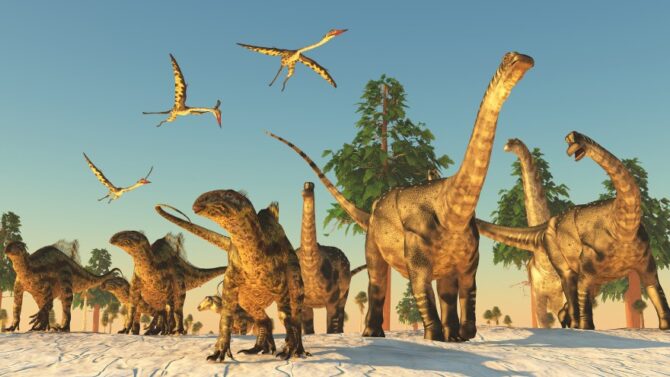 Fun Dinosaur Facts