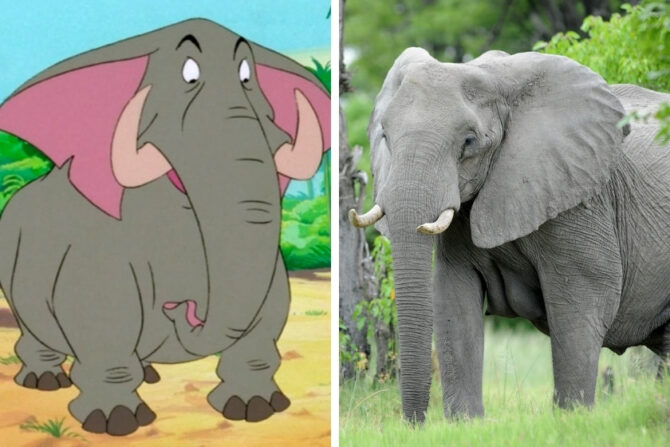 Ned The African Elephant