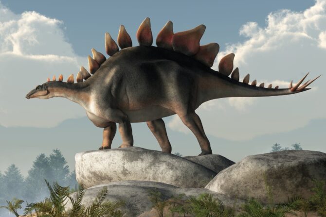 Stegosaurus on the Rocks