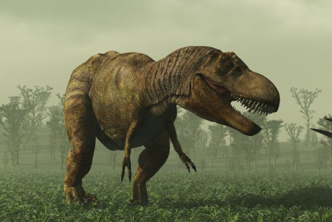 Tyrannosaurus in Natural Habitat