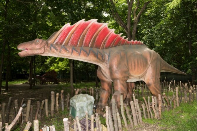 Amargasaurus Model at Park