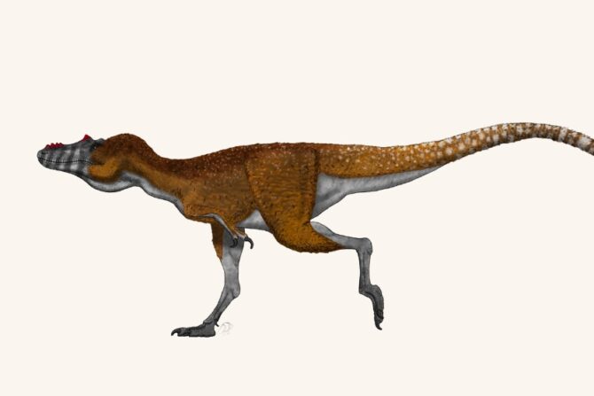 Art Restoration of Qianzhousaurus