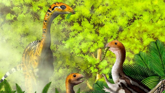 Cutest Dinosaurs - Top Ten Most Beautiful Dinosaurs Ever