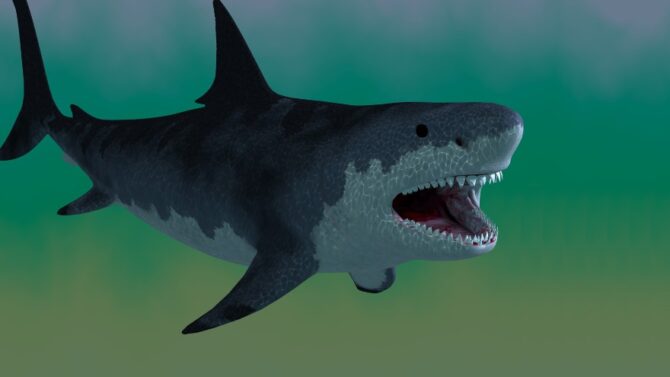 Eye-Opening Megalodon Facts & Pictures