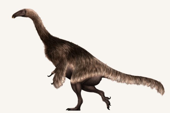 Life Restoration of Nothronychus mckinleyi