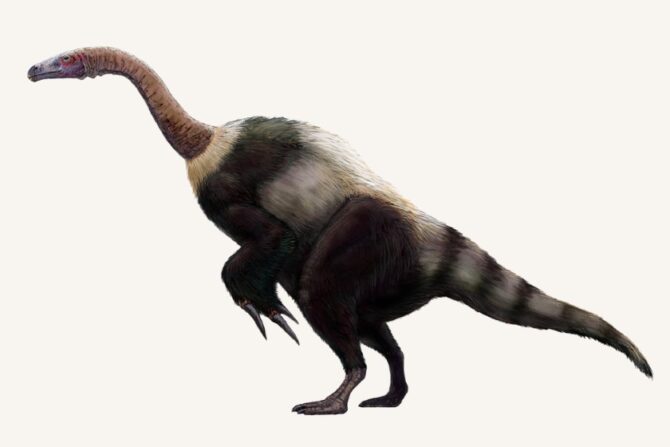 Life Restoration of Suzhousaurus