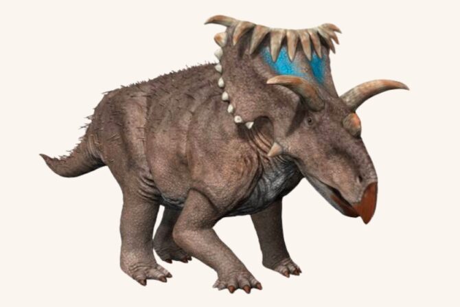 Life Restoration of Kosmoceratops