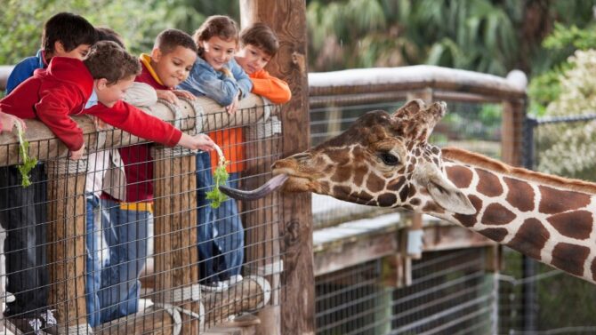 Top 70 Best Zoos in the World to Experience Wildlife
