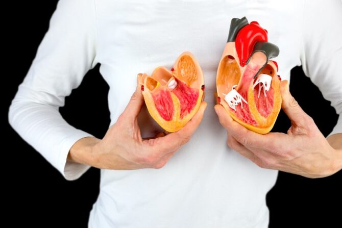 Woman Holding Human Heart Model Close to Heart