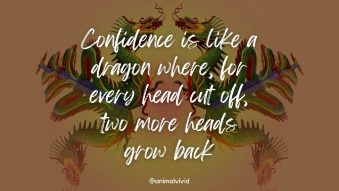 Dragon Quotes For Fantasy Fans