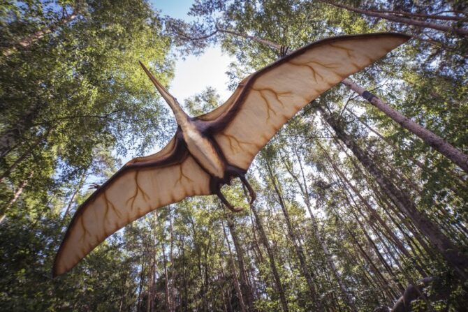 A pterosaur flying through the woods.