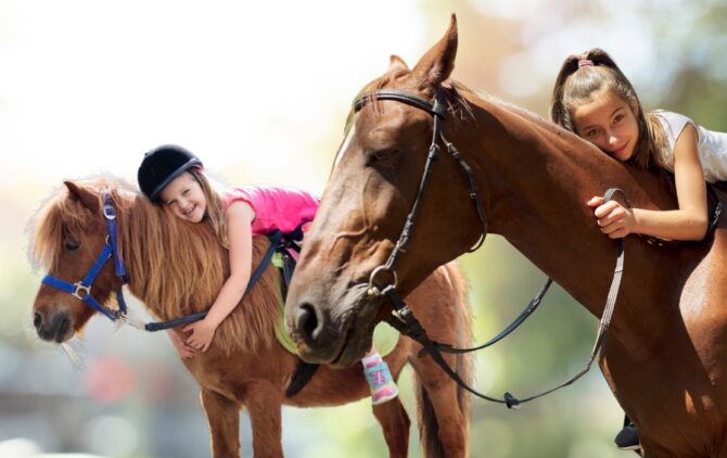 Pony and Horse Temperament and Behavior