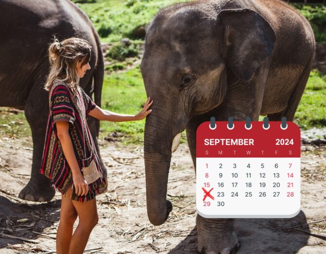 Elephant Appreciation Day