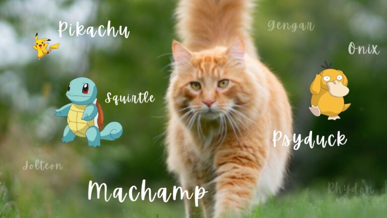 30 Pok mon Cat Names Male Female 30-pok-mon-cat-names-male-female