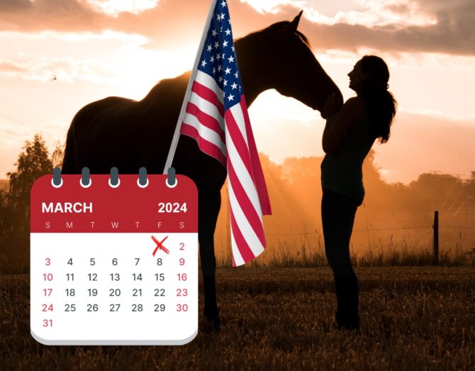 National Horse Protection Day