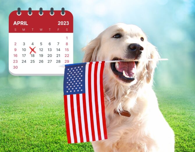 National Pet Day - United States