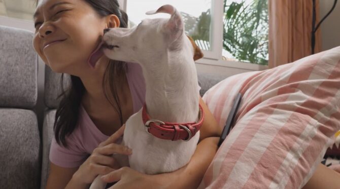 the dog licks its owner's face because her skin is salty