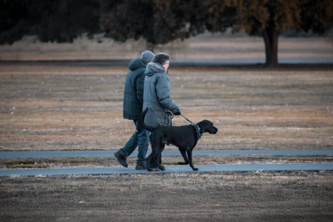 Walking a dog in nature