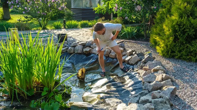 Clean Backyard Pond