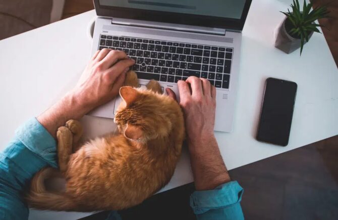 guy reading a blog post about pets