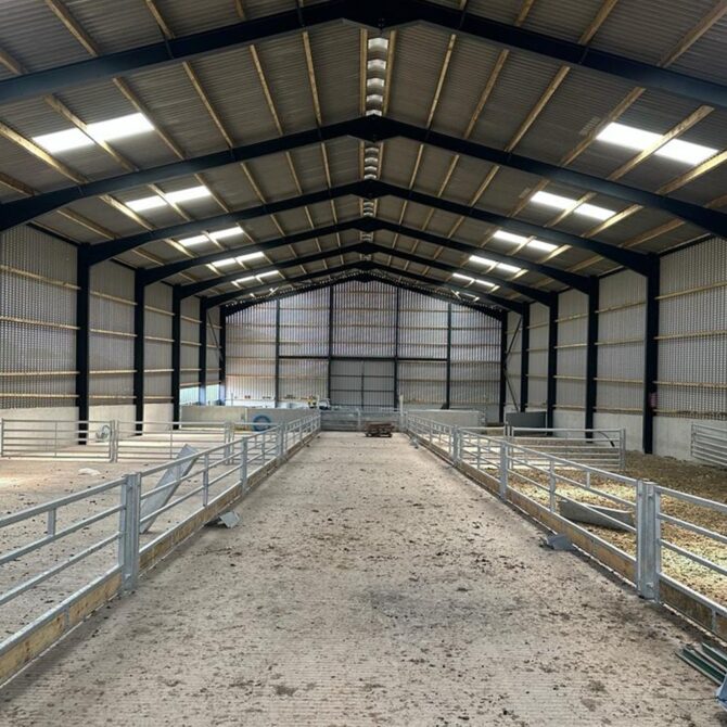 Dry Shelter for lambs