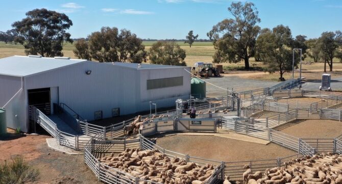 Role of a Shearing Shed