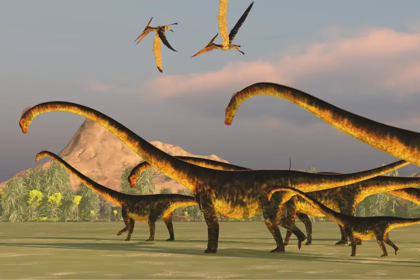 Barosaurus