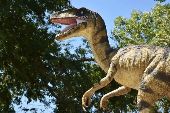 Close Up Velociraptor in the Jungle