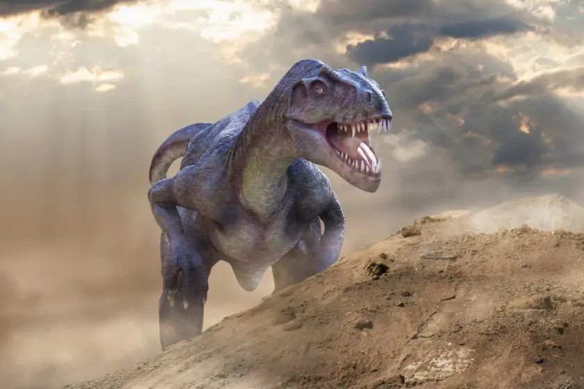 Live Restoration of Typical Apatosaurus Isolated