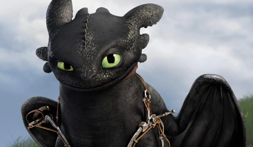 Toothless in How to Train Your Dragon